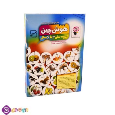 بازی فکری هوش چین 3 تکه